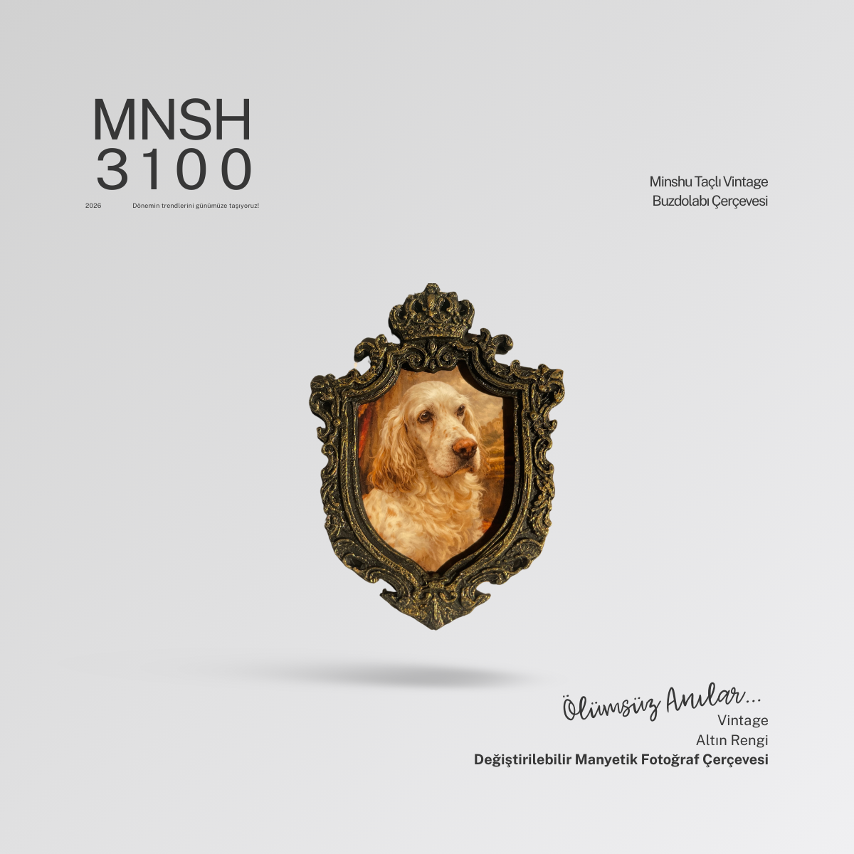 Taçlı Vintage Buzdolabı Çerçevesi, Değiştirilebilir Fotoğraflı Buzdolabı/Ev Dekoru